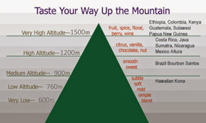 The Effect of Altitude on Coffee Flavor graphic