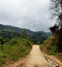 colombia coffee plantation