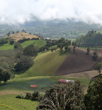 Costa Rica Tarrazu coffee growing landscape