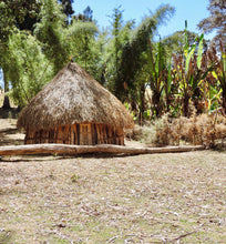 ethiopian hut with thatched roof in clearing