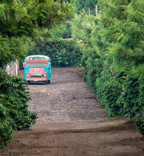Guatemala Antigua bus on dirt road