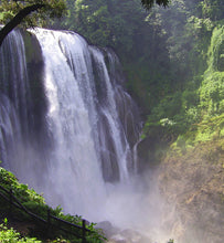 honduras waterfall surrounded by thick vegetation
