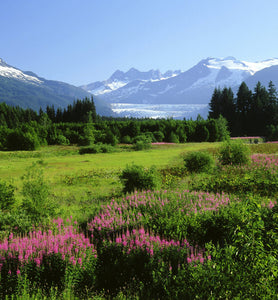 Honduras landscape with snow-capped mountains in distance