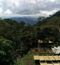nicaragua coffee plantion with drying beds