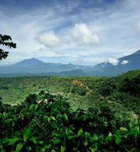 Sumatra landscape with volcanoes in the distance