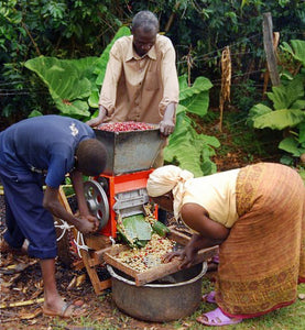 Uganda workers operate a pulping machine