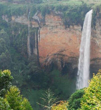Uganda Kapkwai Sipi Falls Natural, Rainforest Alliance
