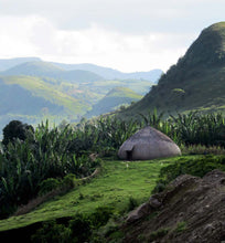 an ethiopian landscape with a hut